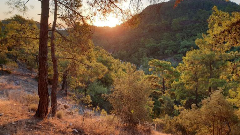Trail Around Göynük
